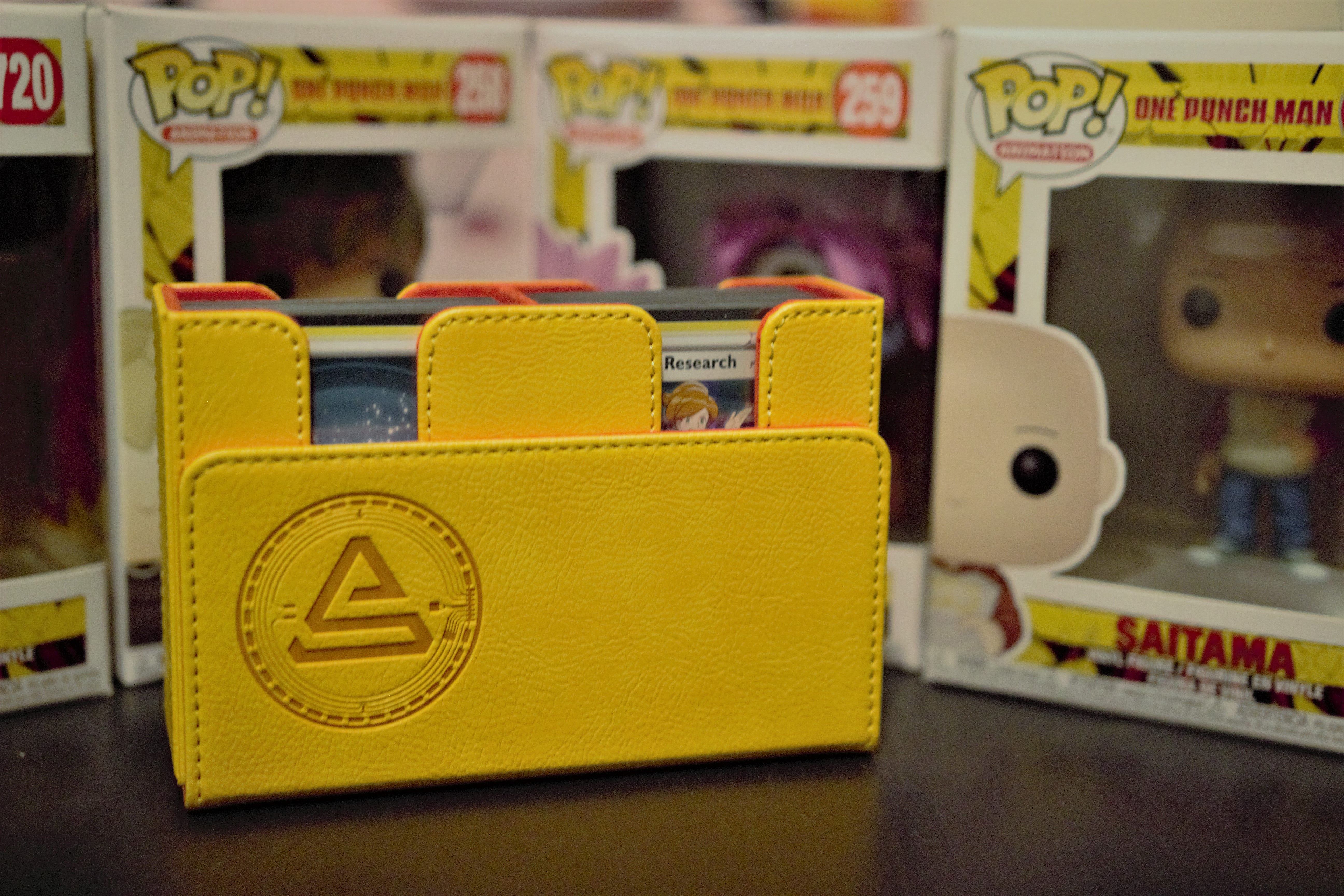 IMG_9251_2.jpg?v=1676060246&